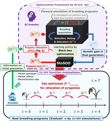 AI-assisted selection of mating pairs through simulation-based optimized progeny allocation strategies in plant breeding